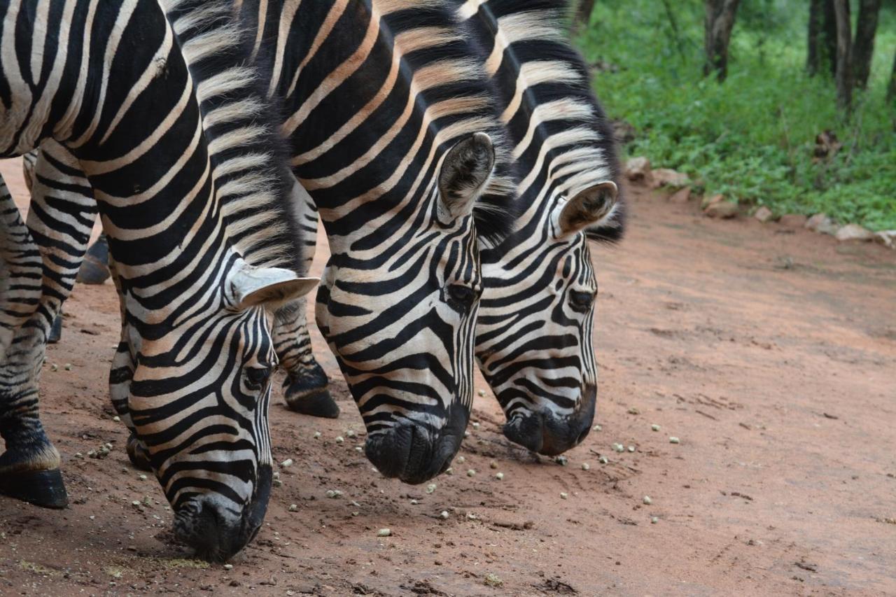 515 On Warthog By The River Marloth Park Exterior foto